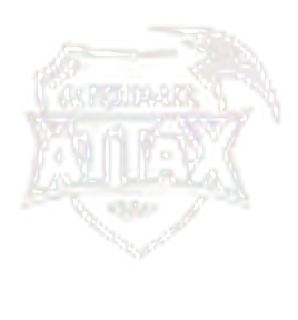ALTERNATE aTTaX logo